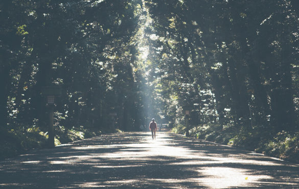 Decision light shining on a road