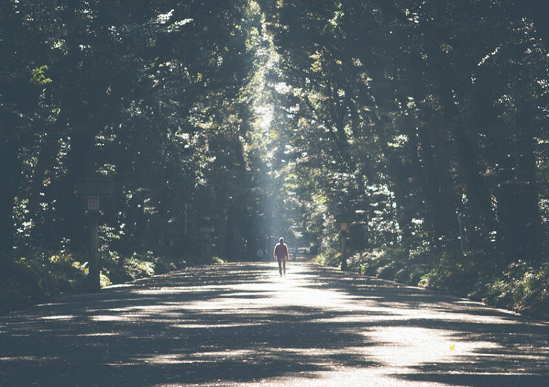 Decision light shining on a road