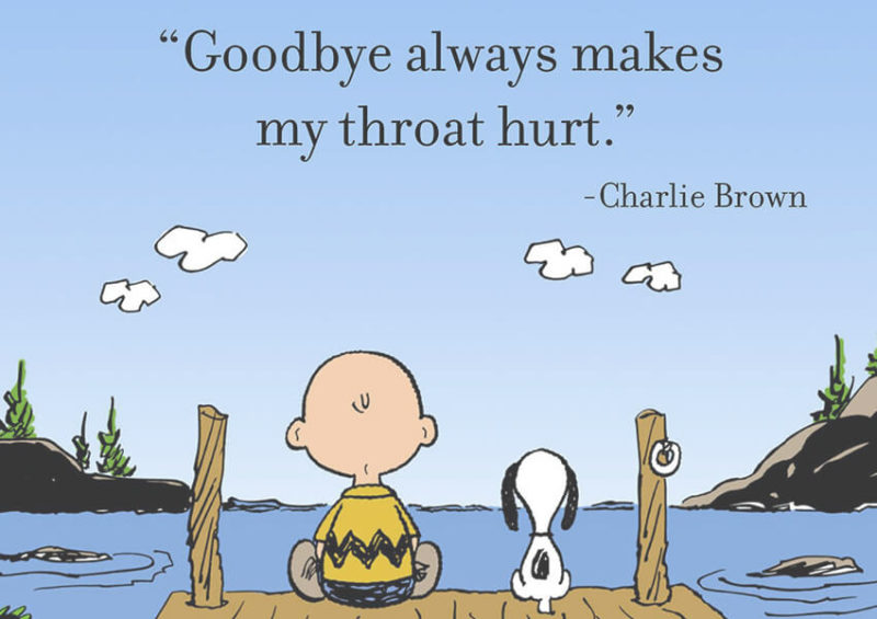 Goodbye - Snoopy and Charlie